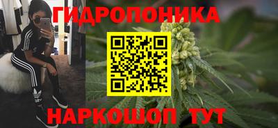 дживик Ливны